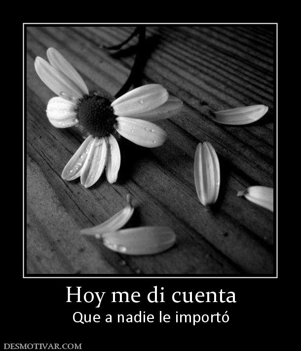 Hoy me di cuenta Que a nadie le importó