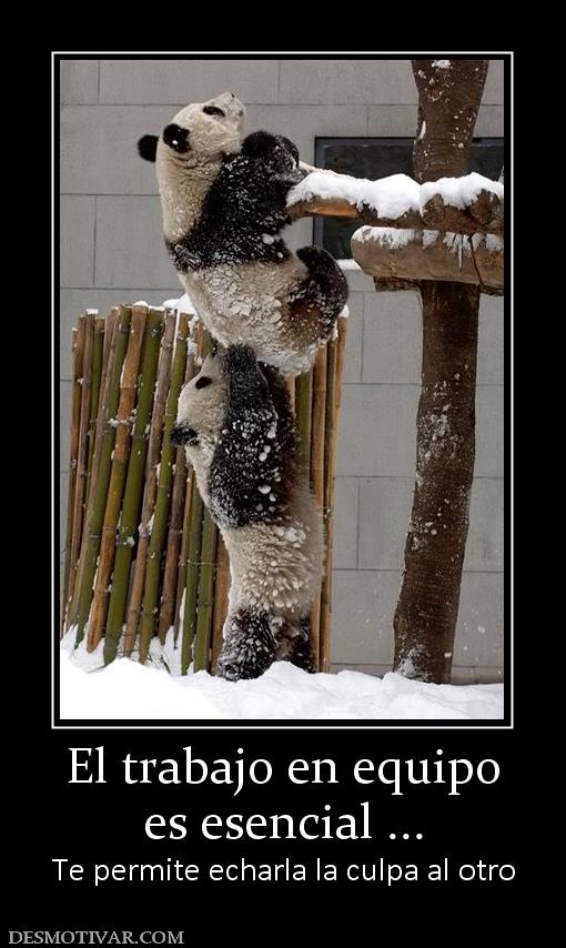 El trabajo en equipo es esencial ... Te permite echarla la culpa al otro