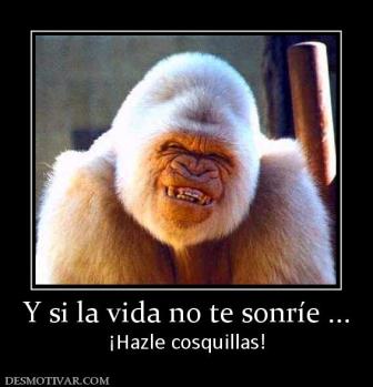 Y si la vida no te sonríe ... ¡Hazle cosquillas!