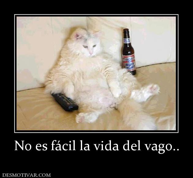 No es fácil la vida del vago..