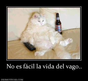 No es fácil la vida del vago..