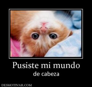 Pusiste mi mundo de cabeza