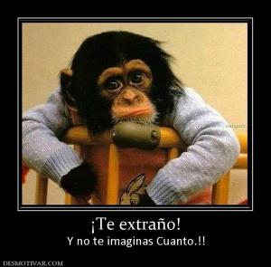 ¡Te extraño! Y no te imaginas Cuanto.!!