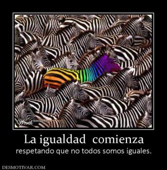 La igualdad  comienza respetando que no todos somos iguales.