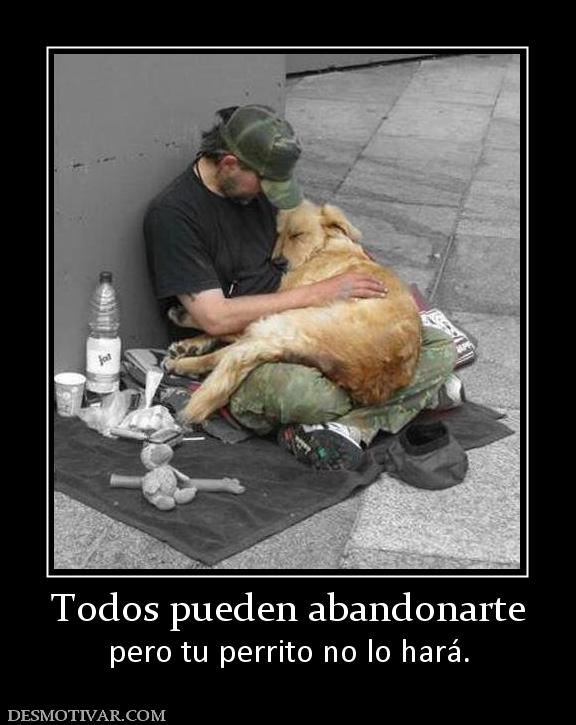 Resultado de imagen para desmotivaciones es imagenes comicas