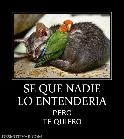 SE QUE NADIE LO ENTENDERIA PERO TE QUIERO