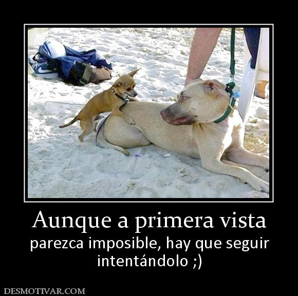 Aunque a primera vista parezca imposible, hay que seguir intentándolo ;)