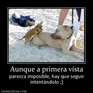 Aunque a primera vista parezca imposible, hay que seguir intentándolo ;)