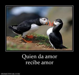 Quien da amor recibe amor