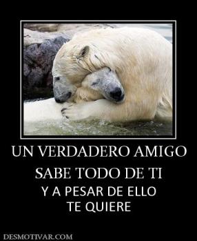 UN VERDADERO AMIGO SABE TODO DE TI Y A PESAR DE ELLO TE QUIERE