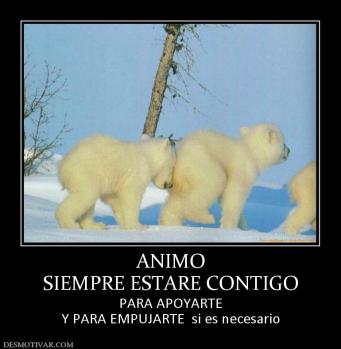 ANIMO SIEMPRE ESTARE CONTIGO PARA APOYARTE Y PARA EMPUJARTE  si es necesario