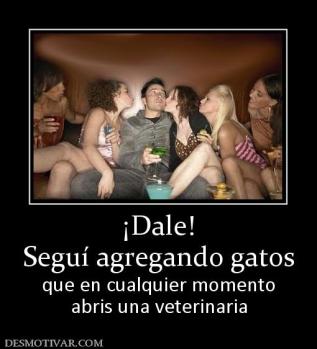 ¡Dale! Seguí agregando gatos que en cualquier momento abris una veterinaria