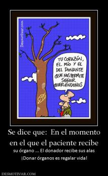 Se dice que:  En el momento en el que el paciente recibe su órgano ... El donador recibe sus alas ¡Donar órganos es regalar vida!