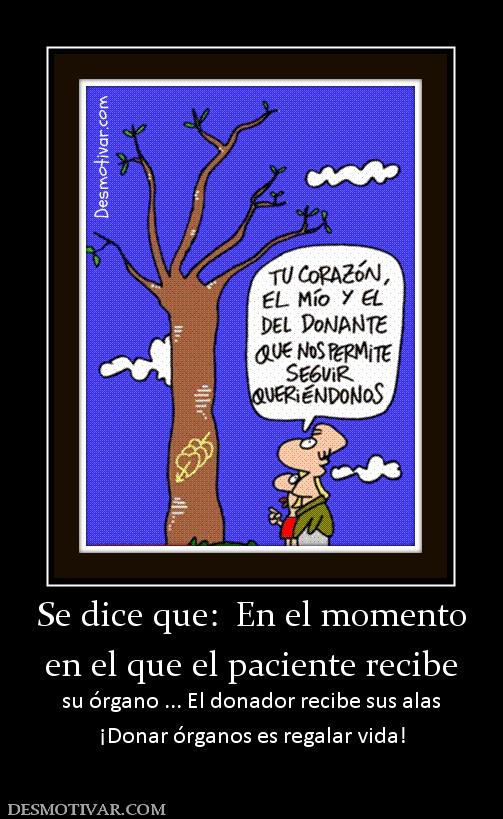 Se dice que:  En el momento en el que el paciente recibe su órgano ... El donador recibe sus alas ¡Donar órganos es regalar vida!