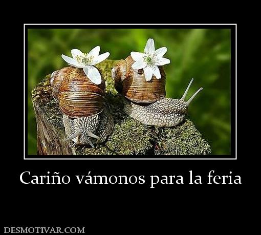Cariño vámonos para la feria