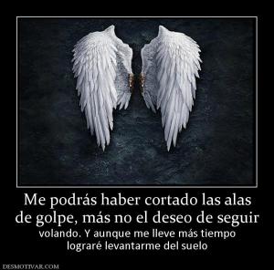 Me podrás haber cortado las alas de golpe, más no el deseo de seguir volando. Y aunque me lleve más tiempo lograré levantarme del suelo
