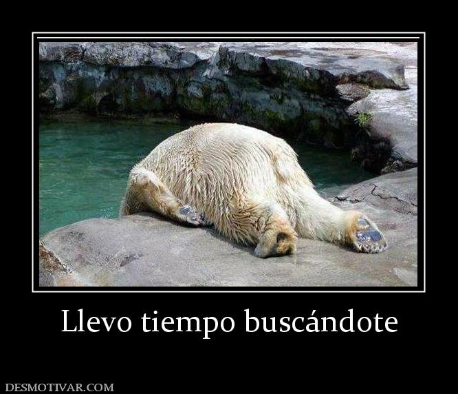 Llevo tiempo buscándote