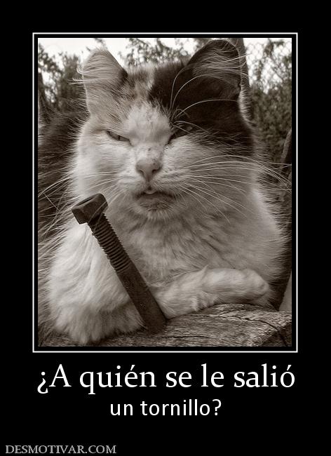 ¿A quién se le salió un tornillo?