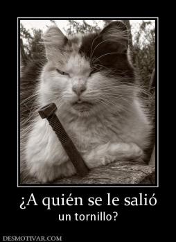 ¿A quién se le salió un tornillo?