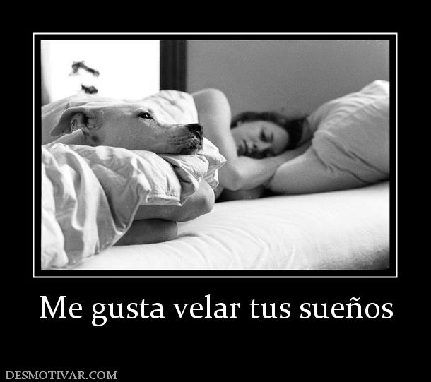 Me gusta velar tus sueños