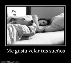 Me gusta velar tus sueños