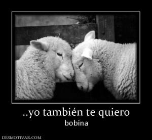 ..yo también te quiero bobina