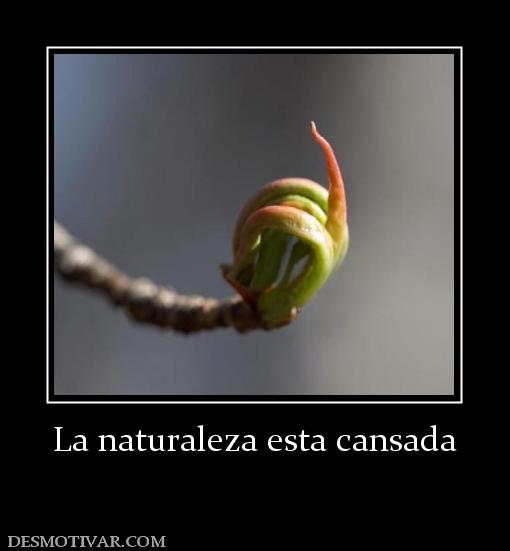 La naturaleza esta cansada