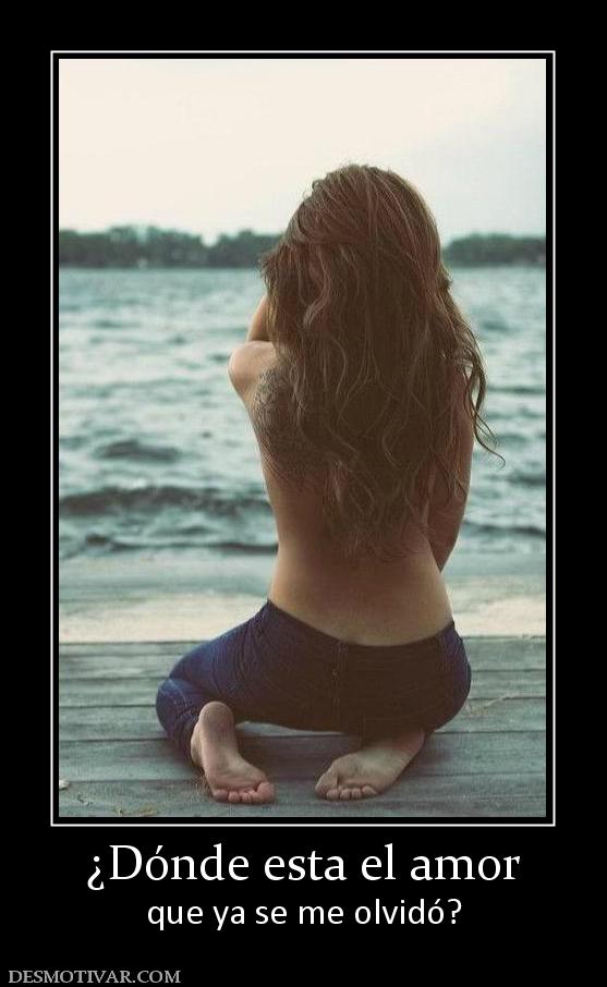 ¿Dónde esta el amor que ya se me olvidó?