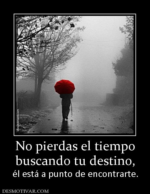 No pierdas el tiempo buscando tu destino, él está a punto de encontrarte.