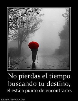 No pierdas el tiempo buscando tu destino, él está a punto de encontrarte.
