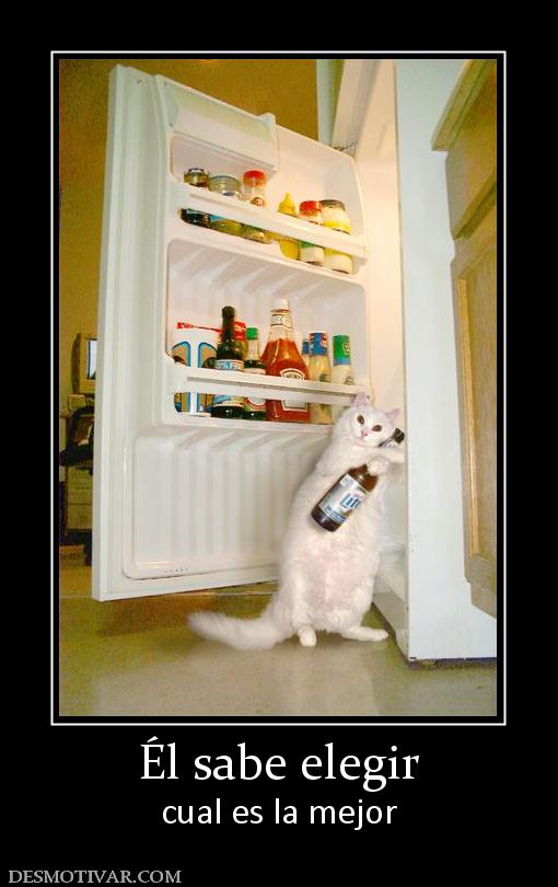 Él sabe elegir cual es la mejor