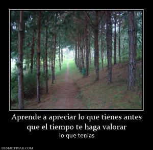 Aprende a apreciar lo que tienes antes que el tiempo te haga valorar lo que tenías
