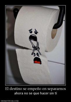 El destino se empeño en separarnos ahora no se que hacer sin tí