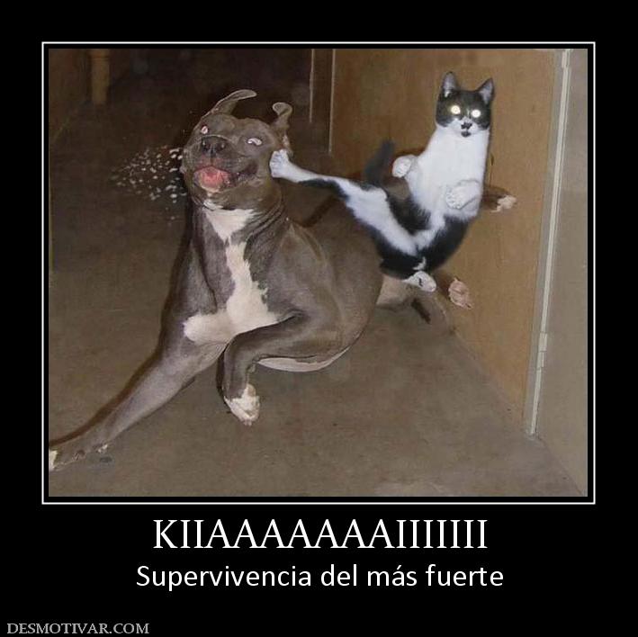 KIIAAAAAAAIIIIIII Supervivencia del más fuerte
