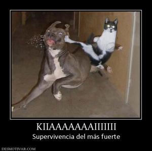 KIIAAAAAAAIIIIIII Supervivencia del más fuerte