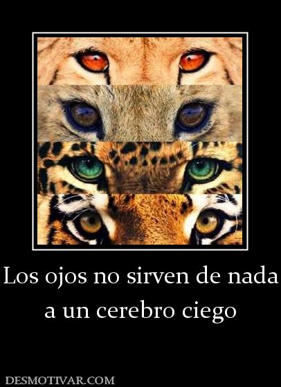 Los ojos no sirven de nada a un cerebro ciego