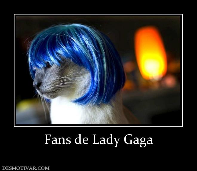 Fans de Lady Gaga