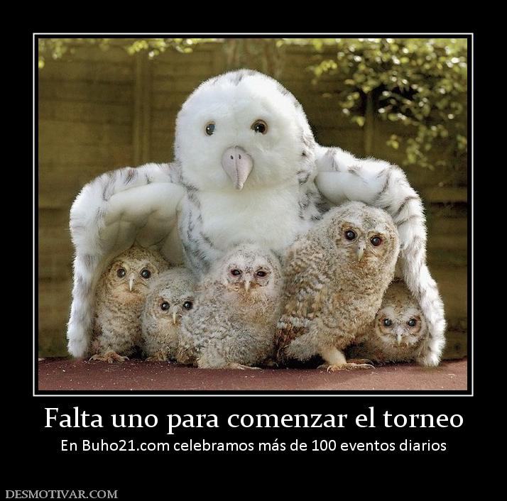 Falta uno para comenzar el torneo En buho21.org celebramos más de 100 eventos diarios