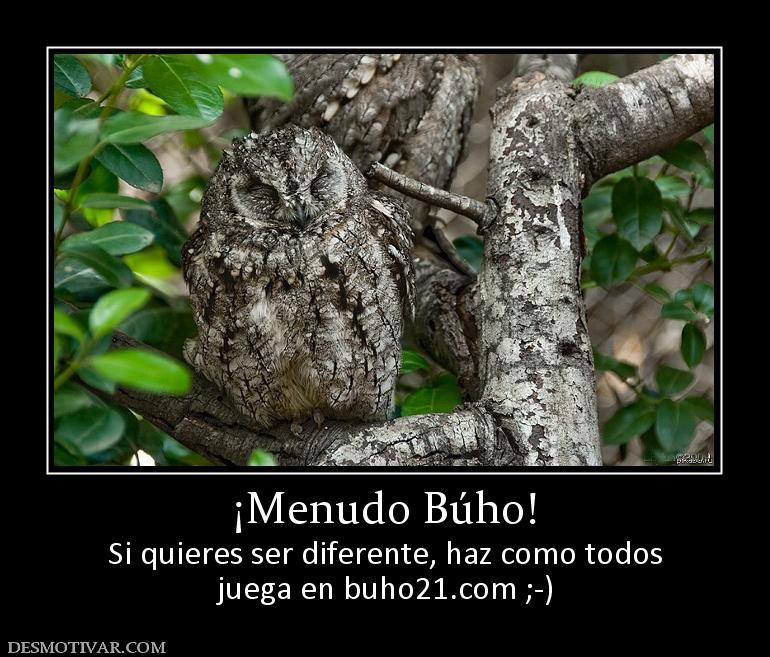 ¡Menudo Búho! Si quieres ser diferente, haz como todos juega en buho21.org ;-)