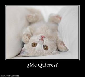 ¿Me Quieres?