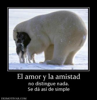 El amor y la amistad no distingue nada. Se dá así de simple