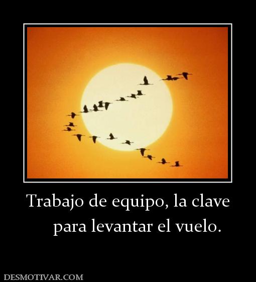 Trabajo de equipo, la clave     para levantar el vuelo.