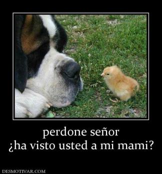 perdone señor ¿ha visto usted a mi mami?