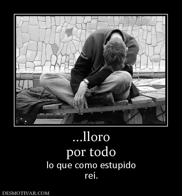 ...lloro por todo lo que como estupido reí.