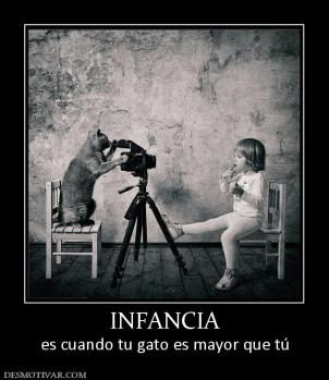 INFANCIA es cuando tu gato es mayor que tú
