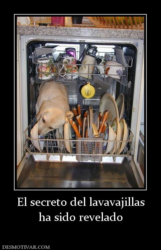 El secreto del lavavajillas ha sido revelado