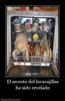 El secreto del lavavajillas ha sido revelado