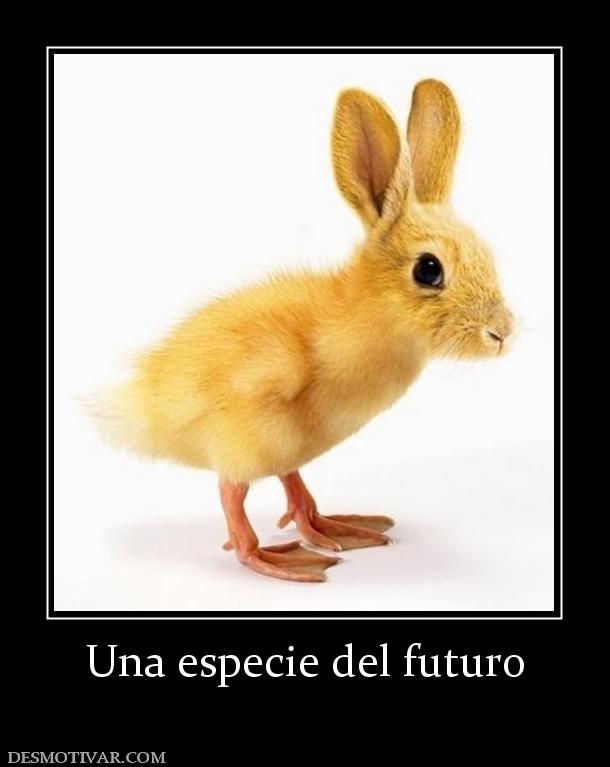 Una especie del futuro