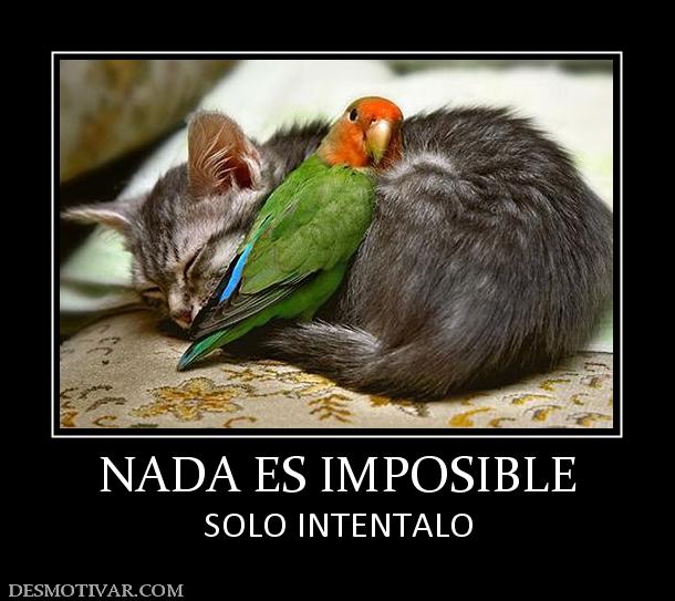 NADA ES IMPOSIBLE SOLO INTENTALO