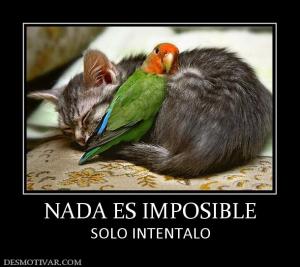 NADA ES IMPOSIBLE SOLO INTENTALO